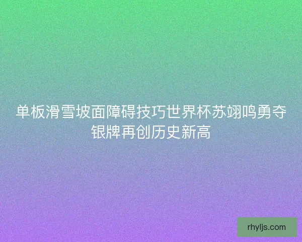 单板滑雪坡面障碍技巧世界杯苏翊鸣勇夺银牌再创历史新高